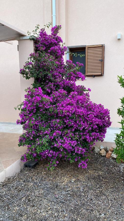 Villa Lp Kokkino Chorio Екстер'єр фото